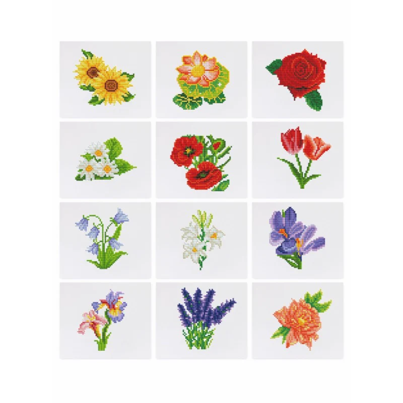 Miniatuur 1