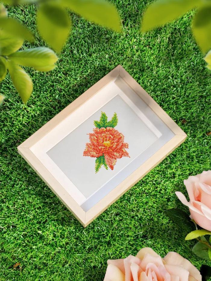 Miniatuur 5