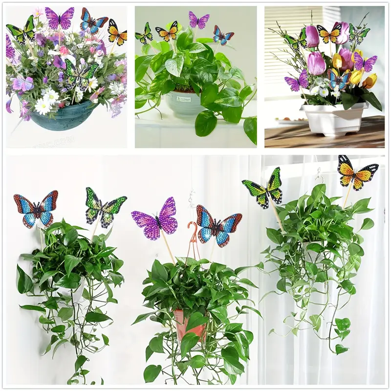 Miniatuur 3
