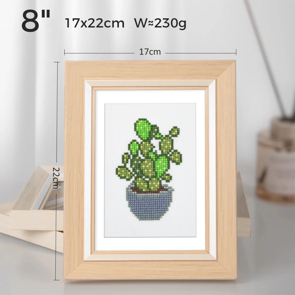Miniatuur 3
