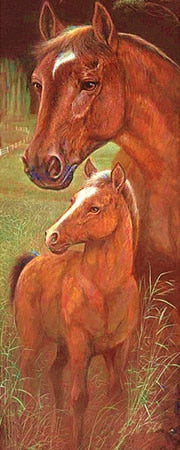 Miniatuur 6